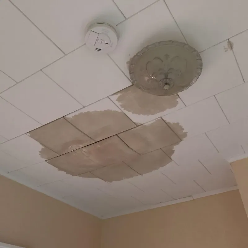 Ceiling Water Damage Repair in Miamisburg, OH