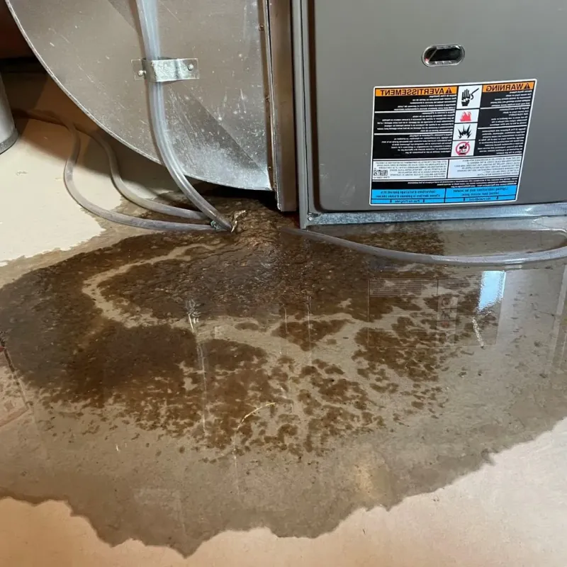 Pipe Burst and Leak Restoration in Miamisburg, OH