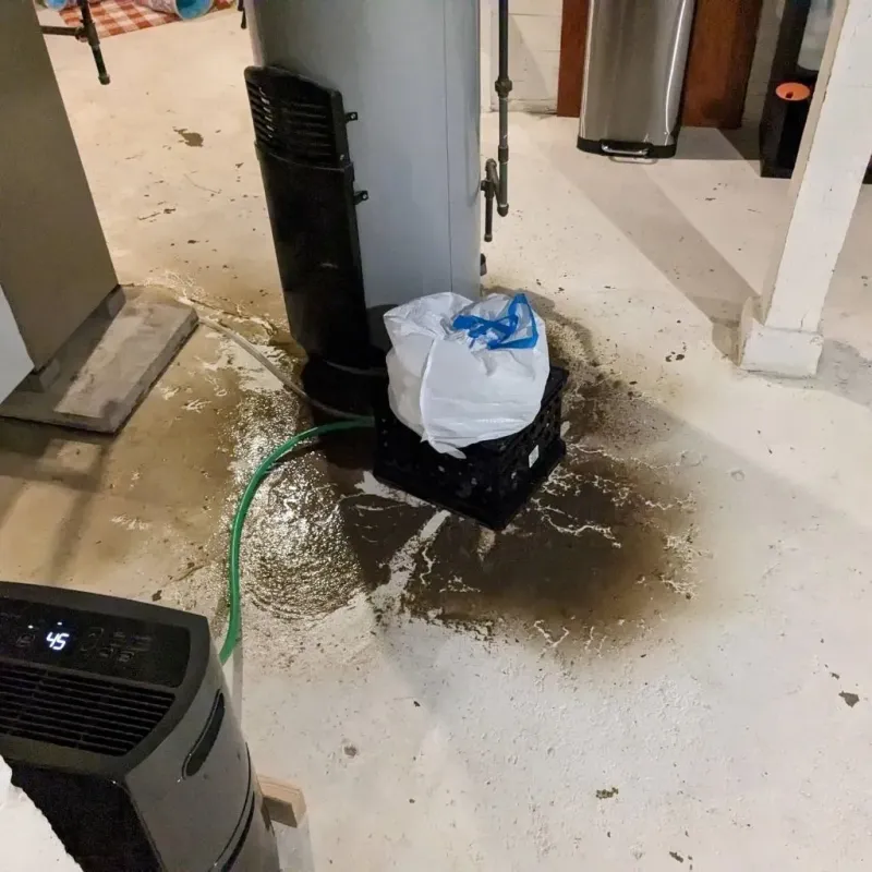 Sewage Backup Cleanup Service in Miamisburg, OH